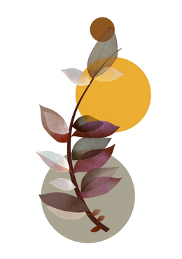 Illustration feuille